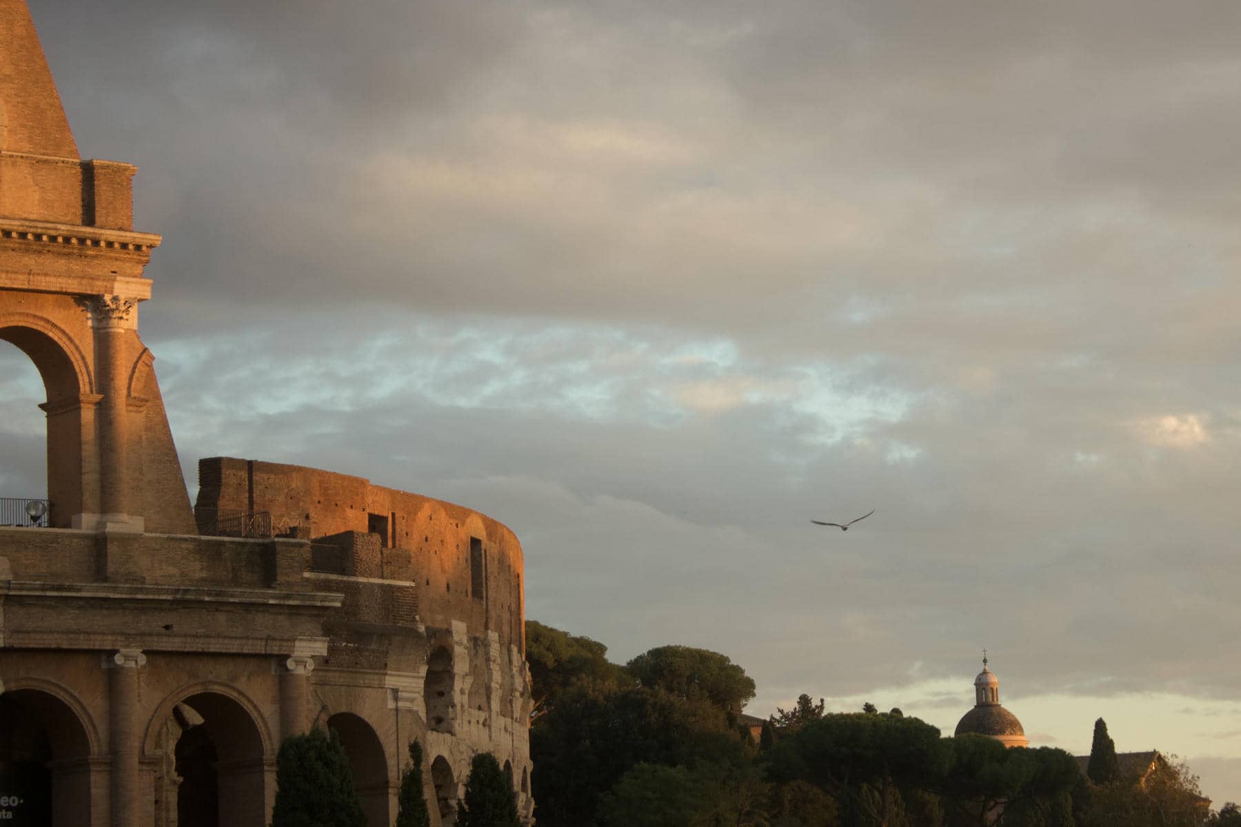 Un gabbiano taglia il tramonto sulle vestigia di Roma a Ottobre